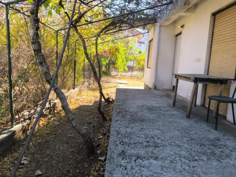 Betonska terasa ispred kuće sa lozom i dvorištem. - image 3