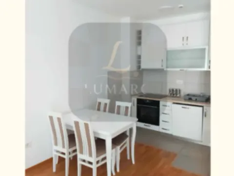 Izdavanje, jednosoban stan, 44m², City Kej, Podgorica - image 8