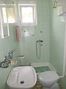 Prodaja, kuća, 350m², Novi Sad Sve Podlokacije, Novi Sad - image 8
