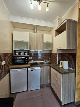 Small equipped kitchen with upper and lower cabinets and home appliances. - image 12
