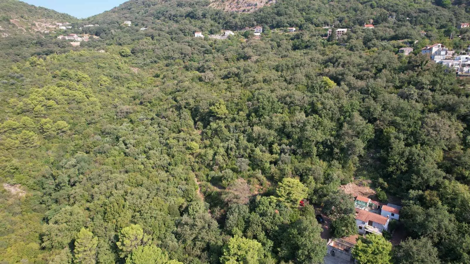 Prodaja, plac, 4659m², Budva, Crna Gora