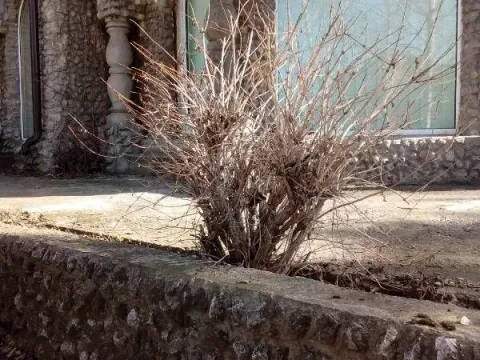 Prodaja, kuća, 706m², Brace Jerković, Voždovac Sve Podlokacije - image 3