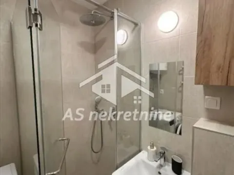 Izdavanje, dvosoban stan, 55m², Južni Bulevar, Vračar Sve Podlokacije - image 16