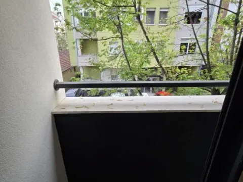 Rent, studio apartment, 30m², Podbara, Novi Sad Sve Podlokacije - image 16