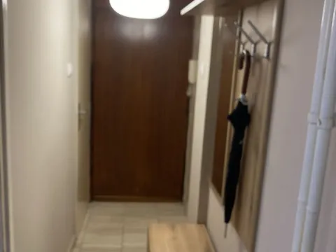 Izdavanje, jednosoban stan, 33m², Novi Beograd Blok 38, Novi Beograd Sve Podlokacije - image 3
