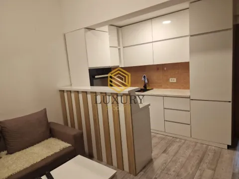 Rent, one bedroom apartment, 68m², Ljubović, Podgorica - image 8