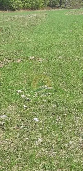 Prodaja, plac, 6692m², Kolašin, Crna Gora