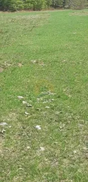 Prodaja, plac, 6692m², Kolašin, Crna Gora - image 2