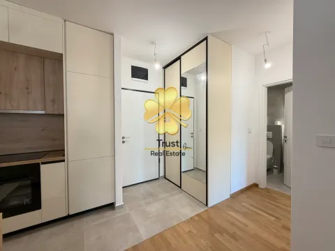 Rent, one bedroom apartment, 50m², Stari Aerodrom, Podgorica - image 8