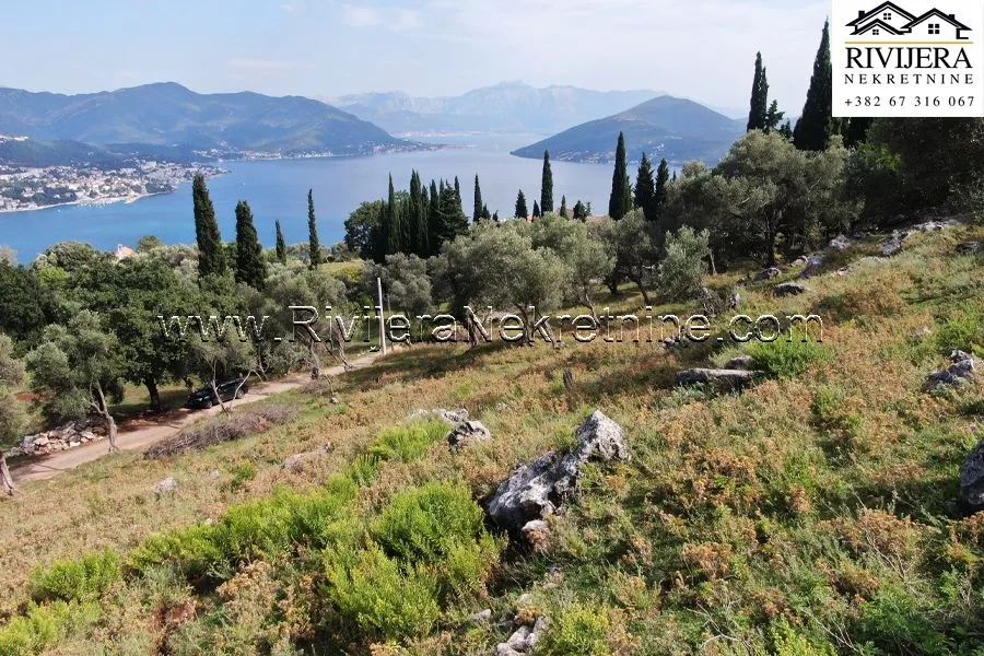 Prodaja, plac, 4323m², Žvinje, Herceg Novi