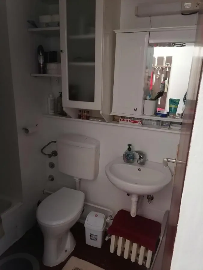 Izdavanje, jednosoban stan, 30m², Sajmište, Novi Sad