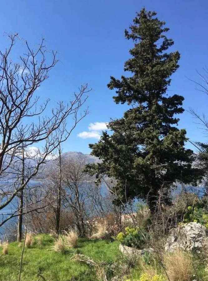 Prodaja, plac, 2700m², Dobrota, Kotor