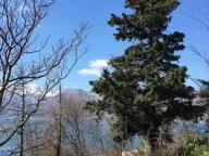 Sale, land lot, 2700m², Dobrota, Kotor - image 2