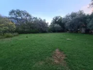 Prodaja, plac, 2171m², Kavač, Kotor - image 2