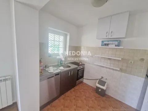 Rent, house, 140m², Palilula Sve Podlokacije, Beograd - image 4