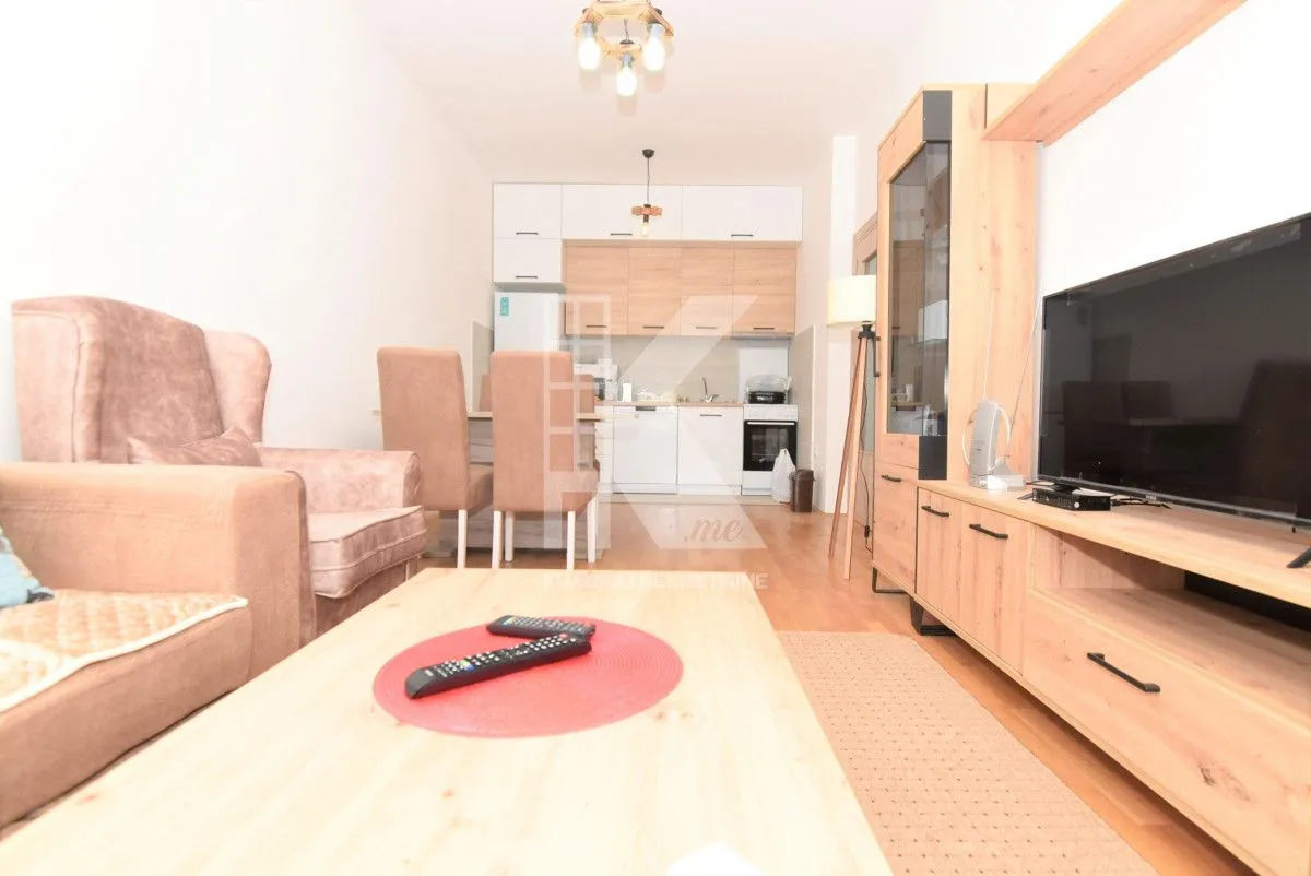 Rent, one bedroom apartment, 44m², Ljubović, Podgorica