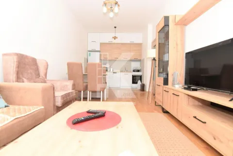Rent, one bedroom apartment, 44m², Ljubović, Podgorica - image 4