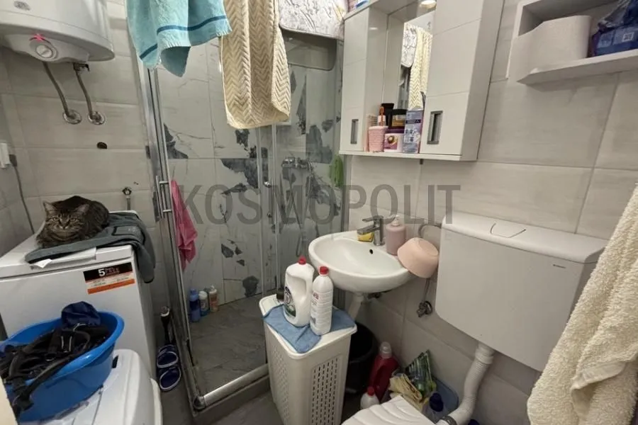 Smaller bathroom with a shower cabin, washbasin, and a washing machine with a cat lying on it.