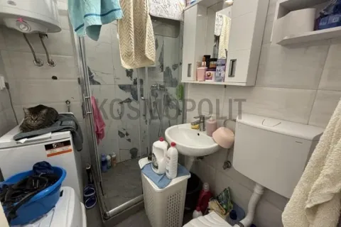 Smaller bathroom with a shower cabin, washbasin, and a washing machine with a cat lying on it. - image 6