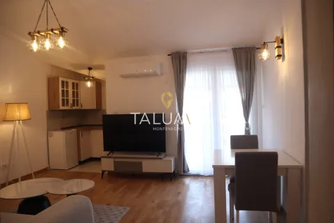 Rent, studio apartment, 28m², Zagorič, Podgorica - image 2