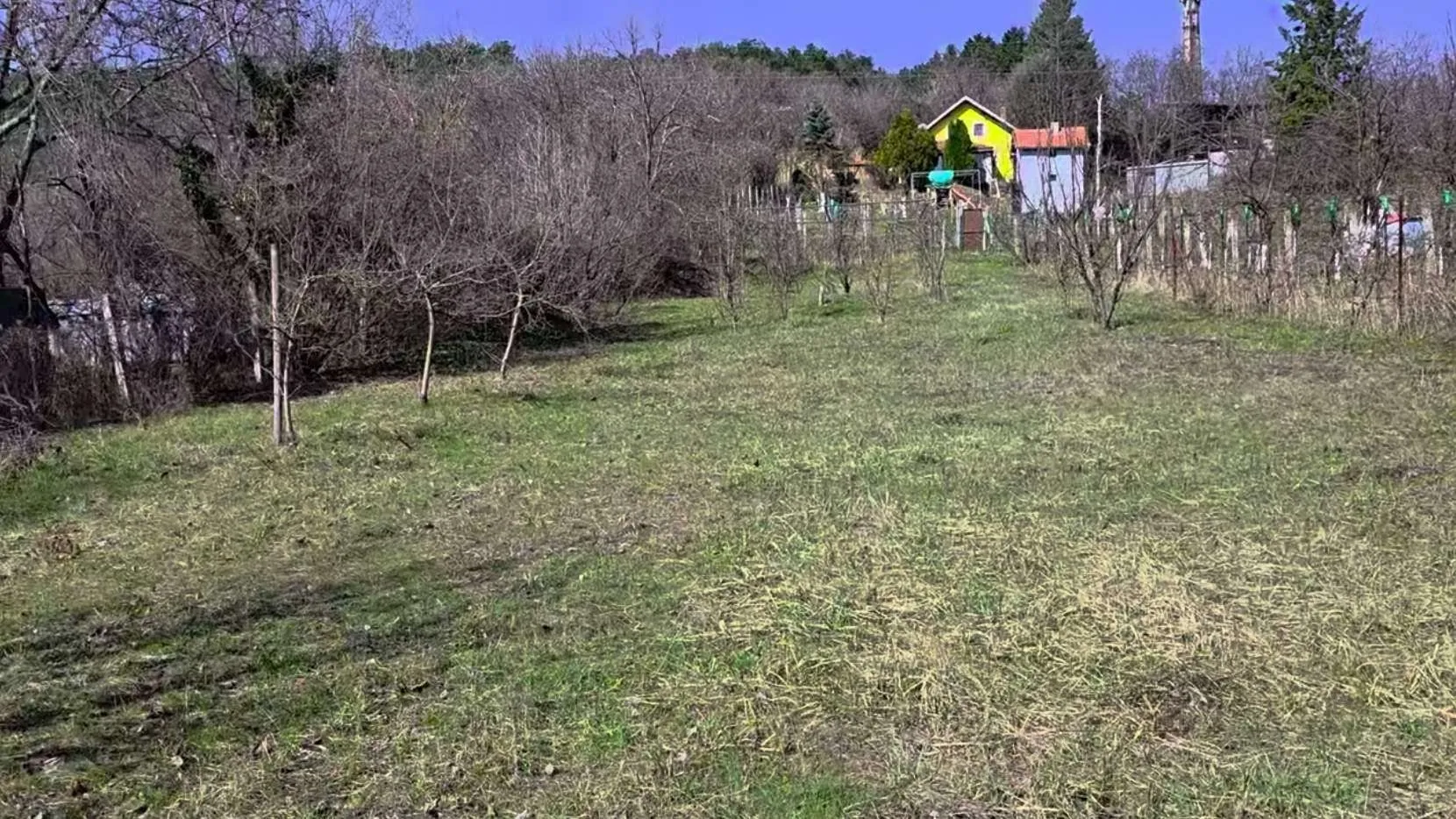 Pogled na plac sa travnatom površinom i voćnjakom.