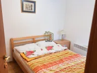 Izdavanje, jednosoban stan, 35m², Pobrežje, Podgorica - image 4