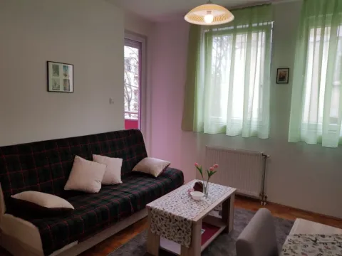Izdavanje, jednosoban stan, 35m², Centar, Novi Sad - image 10