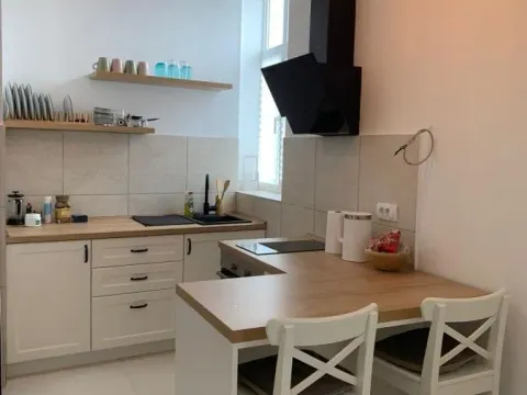 Rent, two bedroom apartment, 57m², Zemun Centar, Zemun Sve Podlokacije - image 12