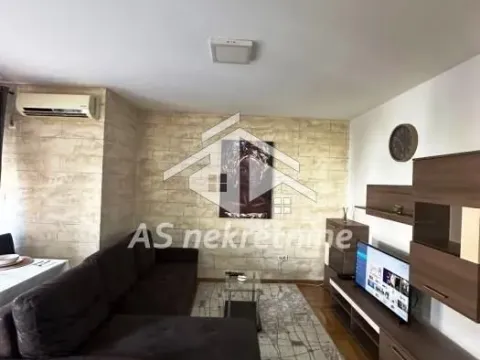 Izdavanje, dvosoban stan, 50m², Južni Bulevar, Vračar Sve Podlokacije - image 3