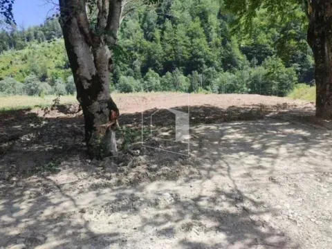 Sale, land lot, 1660m², Mateševo, Kolašin - image 3