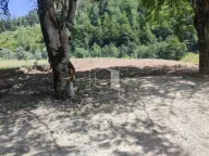 Prodaja, plac, 1660m², Mateševo, Kolašin - image 3