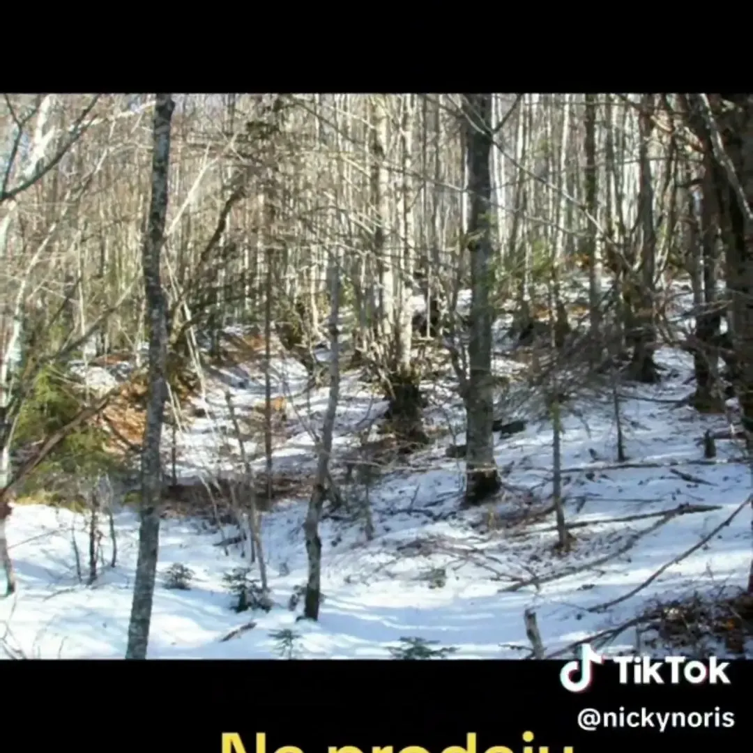 Prodaja, plac, 100000m², Sela, Kolašin
