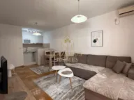 Izdavanje, jednosoban stan, 44m², Stari Aerodrom, Podgorica - image 3