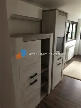 Rent, house, 180m², Zvezdarska Šuma, Zvezdara Sve Podlokacije - image 16