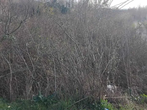 Prodaja, plac, 2400m², Dajbabe, Podgorica - image 2