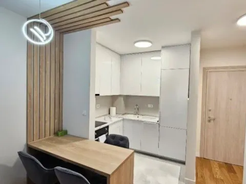 Izdavanje, jednosoban stan, 43m², Central Point, Podgorica - image 6