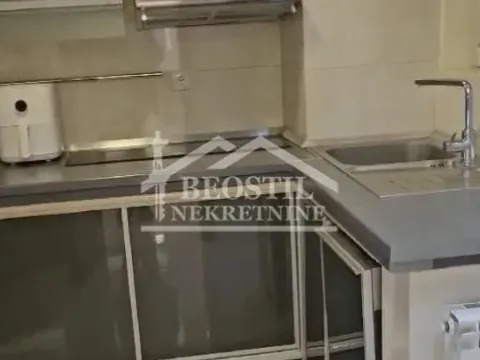 Izdavanje, četvorosoban stan, 180m², Vračar Hram, Vračar Sve Podlokacije - image 9