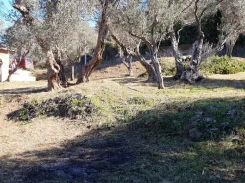 Sale, land lot, 837m², Kunje, Bar - image 3