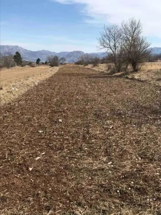 Sale, land lot, 21800m², Grahovo, Nikšić