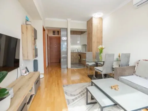 Izdavanje, jednosoban stan, 45m², Centar, Podgorica