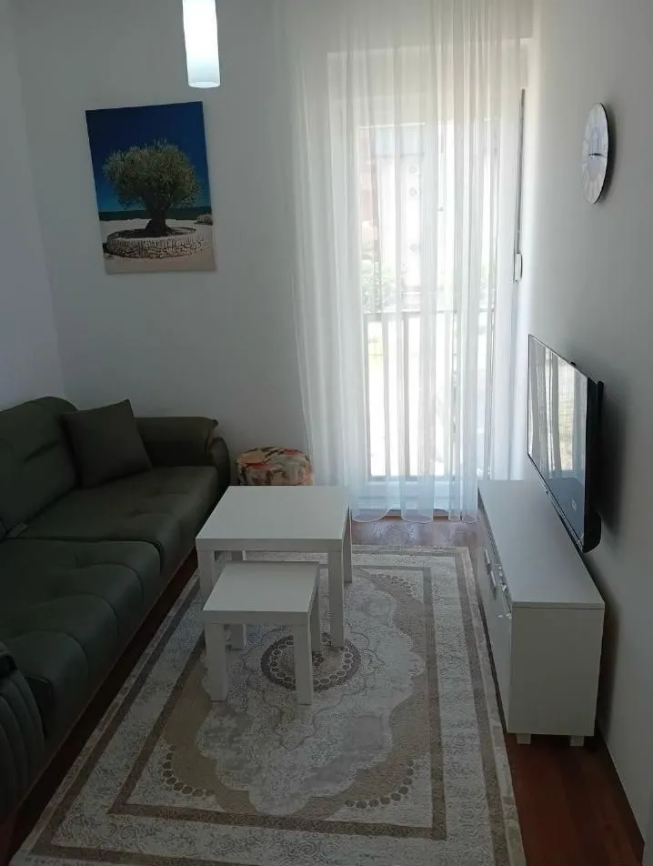 Izdavanje, jednosoban stan, 30m², Central Point, Podgorica
