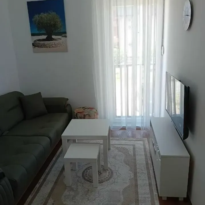 Izdavanje, jednosoban stan, 30m², Central Point, Podgorica