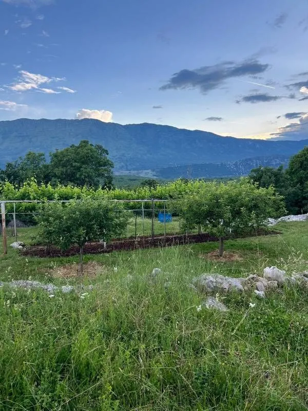 Prodaja, plac, 30000m², Danilovgrad, Crna Gora