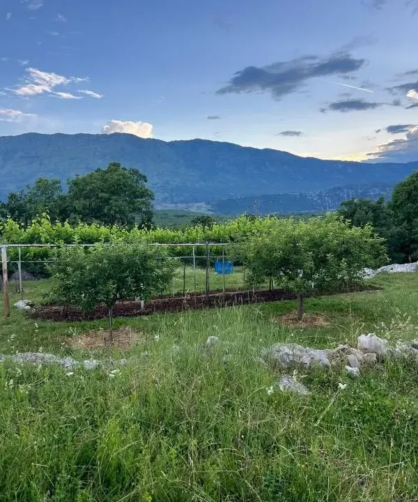 Prodaja, plac, 30000m², Danilovgrad, Crna Gora