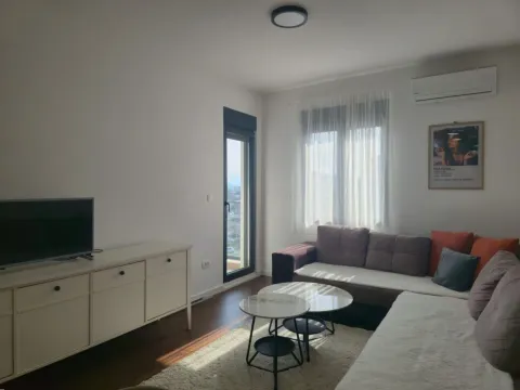 Rent, one bedroom apartment, 44m², Central Point, Podgorica - image 4