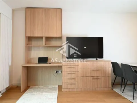 Rent, one bedroom apartment, 37m², Lion, Zvezdara Sve Podlokacije - image 7