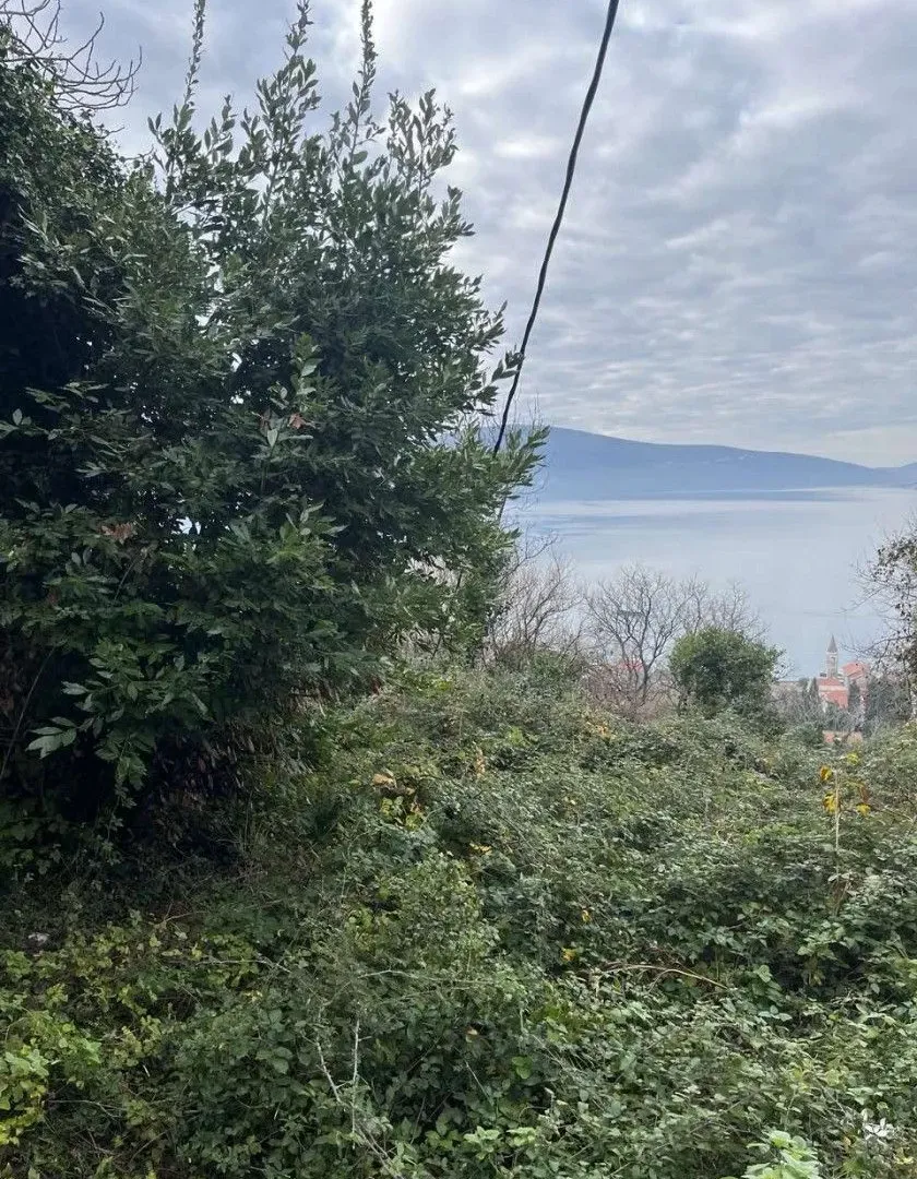 Prodaja, plac, 255m², Tivat, Crna Gora