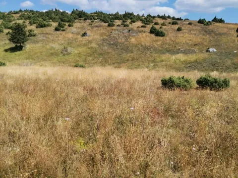 Prodaja, plac, 36000m², Žabljak, Crna Gora - image 7