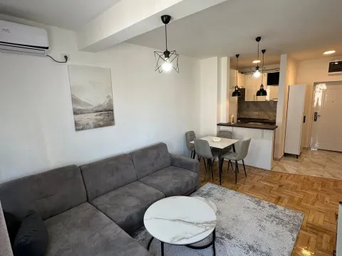 Izdavanje, jednosoban stan, 46m², Ljubović, Podgorica - image 2