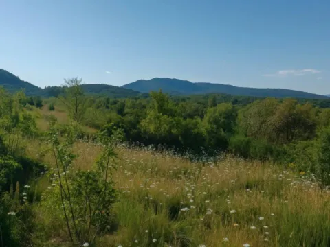 Prodaja, plac, 30962m², Podgorica, Crna Gora - image 5